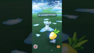 Raid de Cubchoo com laço festivo - Pokémon GO