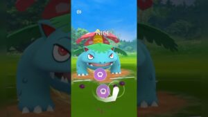 DRAGONITE 💥 UMBREON 😈 VENUSAUR 🌿 / POKÉMON GO 🎯 / GREAT LEAGUE 🤩 ‎@HUNTER   #pokemongo #pokemongopvp