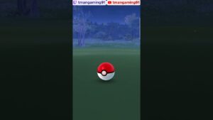Pokémon GO-Fashionable Absol