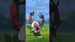 YVELTAL 😈 SHINY ✨ DIALGA 🌀 MEWTWO 🌸 / POKÉMON GO 🤯 / MASTER LEAGUE 🎗️ @Pokemongo01 #gbl