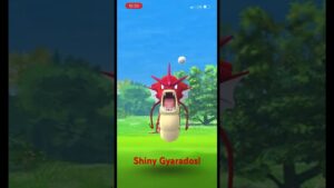 Shiny Gyarados in Pokémon Go!