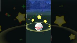 bettle with leader arlo anf got shadow monster 💀 in Pokemon go #pokemon #viral