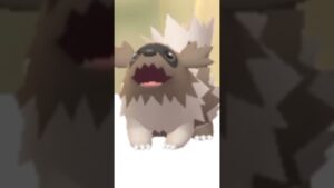 Pedro Pedro Pedro Pokémon go