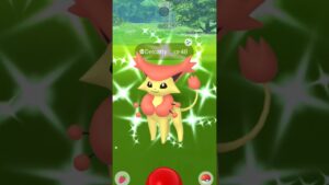 When I caught Shiny S-K-I-T-T-Y..... 😳 Pokemon go