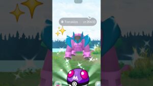 Finally I Got✨️Shiny Terrakion Raid in Pokemon Go