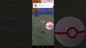 (Orange- Curly) Tatsugiri in Pokemon Go #pokemongo #pokemon #Tatsugiri  #pokemonchannel #pokémon