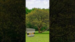 Viajes en el tiempo pokemon go