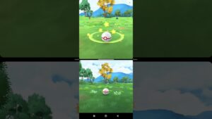 (Yellow- Stretchy) Tatsugiri in Pokemon Go #pokemongo #pokemon #Tatsugiri  #pokemonchannel #pokémon
